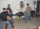 thumbs/Neu_IMG_3050.jpg