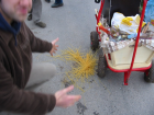 thumbs/Neu_IMG_2227.png