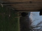 thumbs/Neu_IMG_2235.png