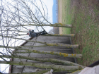 thumbs/Neu_IMG_2247.png