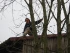 thumbs/Neu_IMG_2249.png