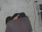 thumbs/Neu_IMG_2264.png