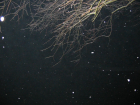 thumbs/Neu_IMG_2288.png