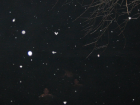 thumbs/Neu_IMG_2298.png