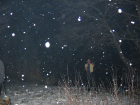 thumbs/Neu_IMG_2306.png