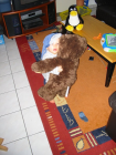 thumbs/Neu_ju025.png